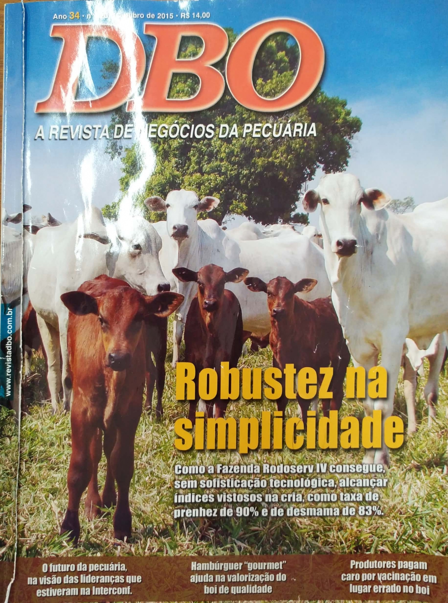 Matéria de capa - Revista DBO